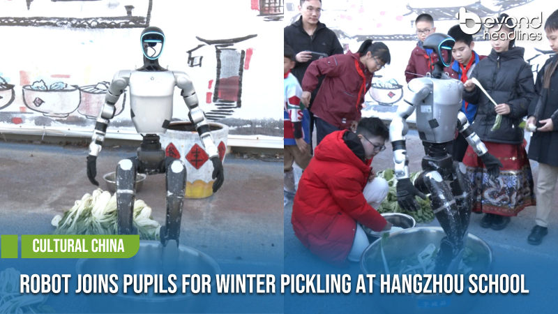 [Cultural China] Robot Joins Pupils for Winter Pickling at Hangzhou School