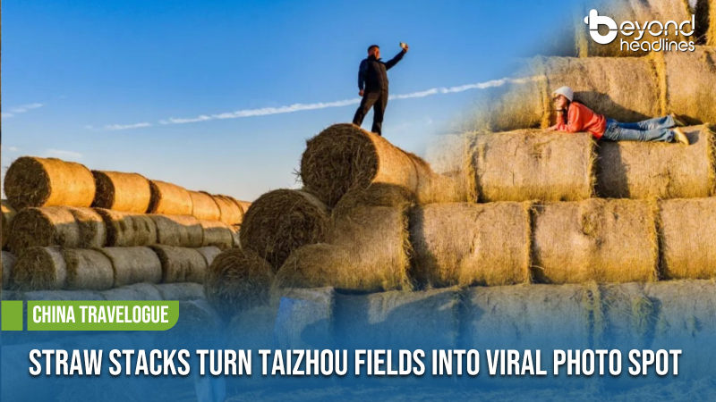 [China Travelogue] Straw Stacks Turn Taizhou Fields into Viral Photo Spot