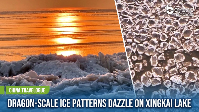 [China Travelogue] Dragon-Scale Ice Patterns Dazzle on Xingkai Lake