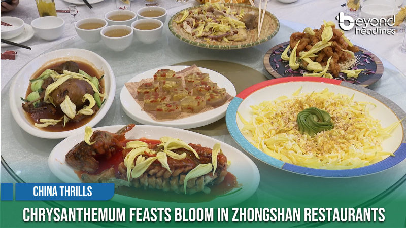 [China Thrills] Chrysanthemum Feasts Bloom in Zhongshan Restaurants