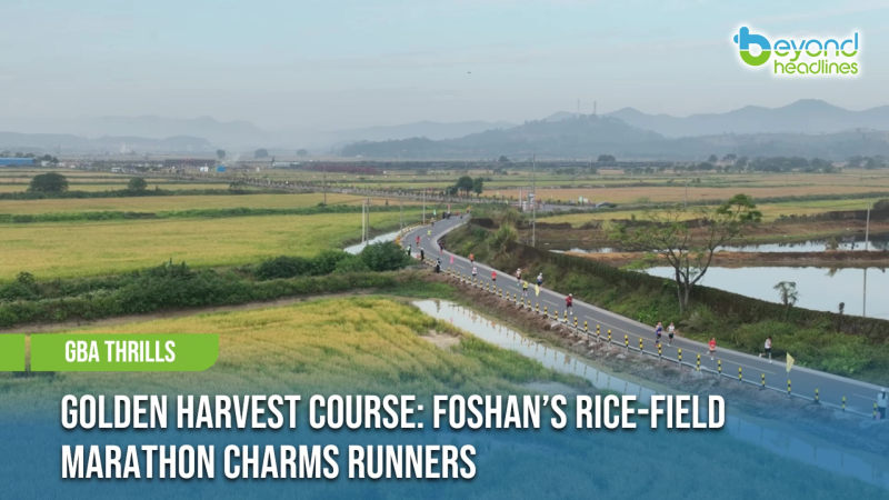 [GBA Thrills] Golden Harvest Course: Foshan’s Rice-Field Marathon Charms Runners