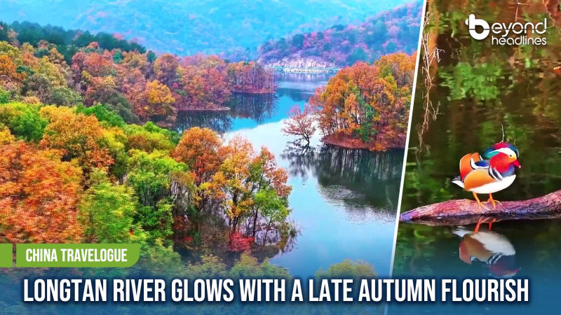 [China Travelogue] Longtan River Glows with a Late Autumn Flourish