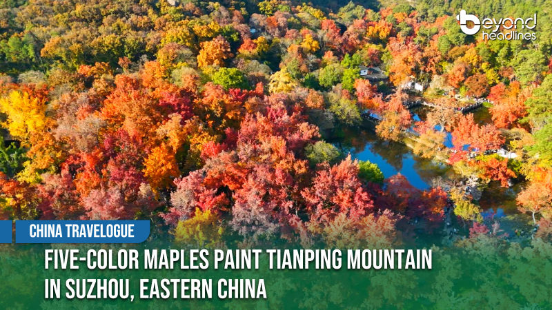 [China Travelogue] Five-Color Maples Paint Tianping Mountain in Suzhou, Eastern China