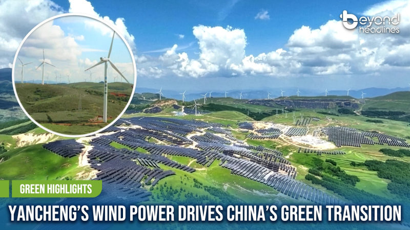 [Green Highlights] Yancheng’s Wind Power Drives China’s Green Transition