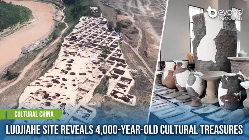 [Cultural China] Luojiahe Site Reveals 4,000-Year-Old Cultural Treasures