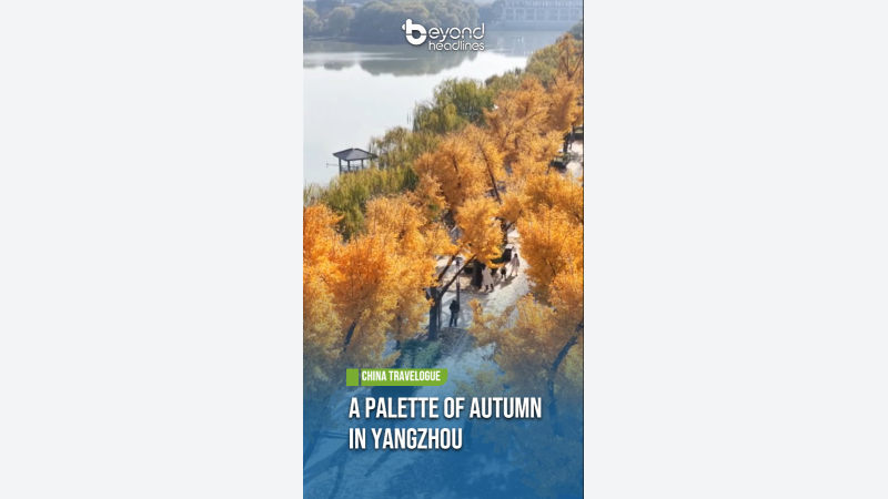 [China Travelogue] A Palette of Autumn in Yangzhou