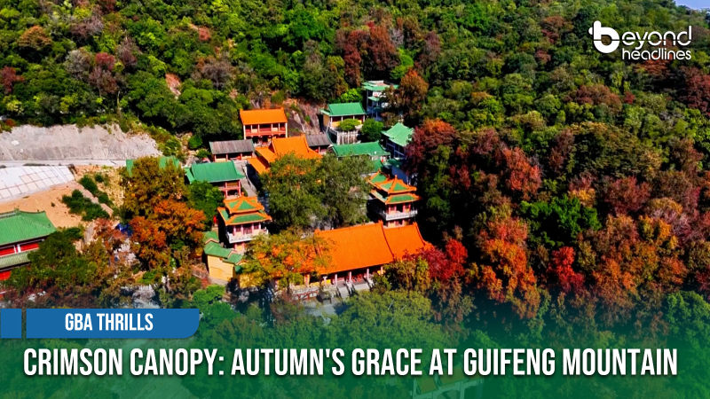 [GBA Thrills] Crimson Canopy: Autumn's Grace at Guifeng Mountain