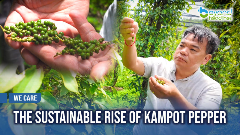 [We Care] The Sustainable Rise of Kampot Pepper