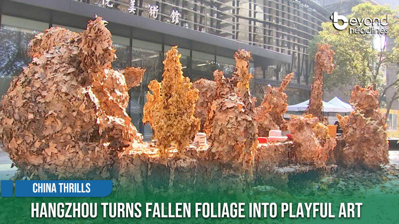 [China Thrills] Hangzhou Turns Fallen Foliage into Playful Art