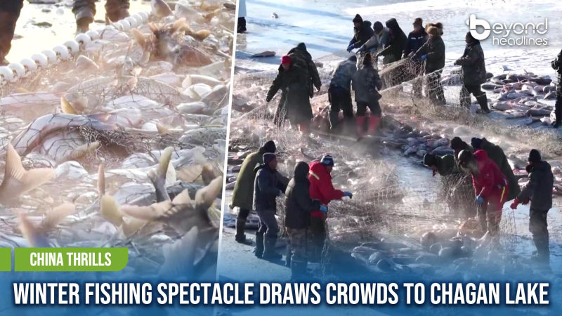 [China Thrills] Winter Fishing Spectacle Draws Crowds to Chagan Lake
