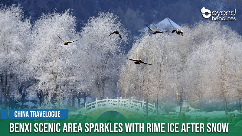 [China Travelogue] Benxi Scenic Area Sparkles with Rime Ice After Snow