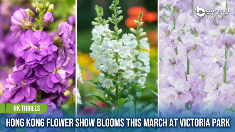 [HK Thrills] Hong Kong Flower Show Blooms This March at Victoria Park