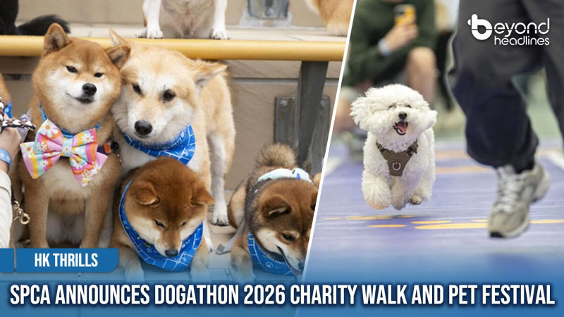 [HK Thrills] SPCA Announces Dogathon 2026 Charity Walk and Pet Festival