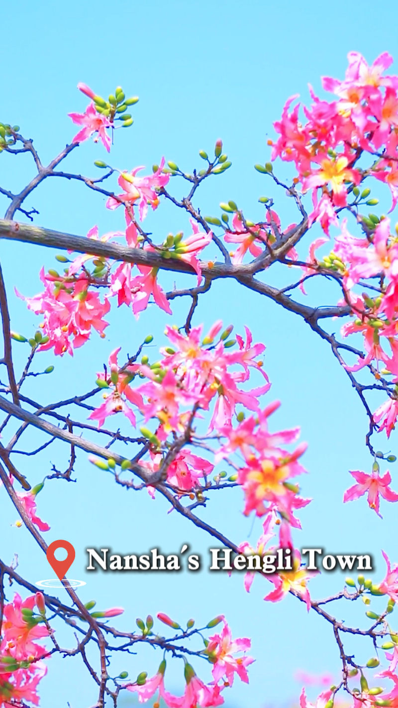 [China Travelogue] Explore Nansha’s Scenic Waterfront and Iconic Landmarks