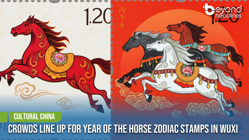 [Cultural China] Crowds Line Up for Year of the Horse Zodiac Stamps in Wuxi