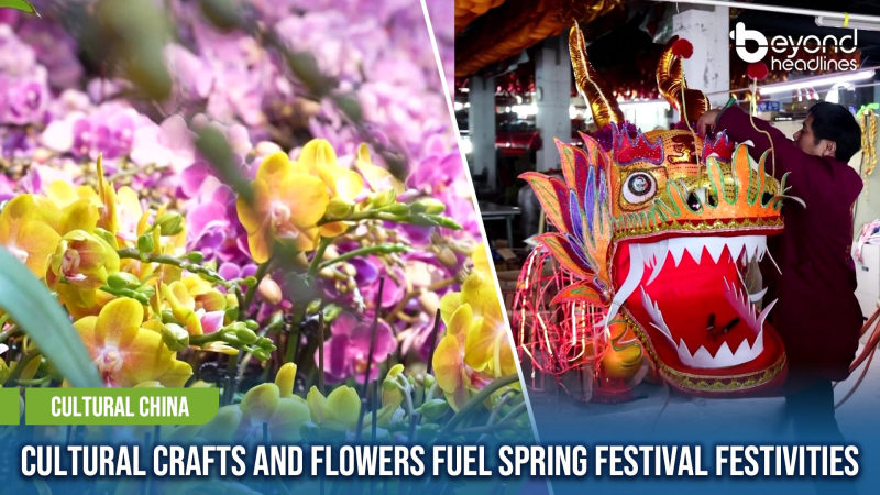 [Cultural China] Cultural Crafts and Flowers Fuel Spring Festival Festivities