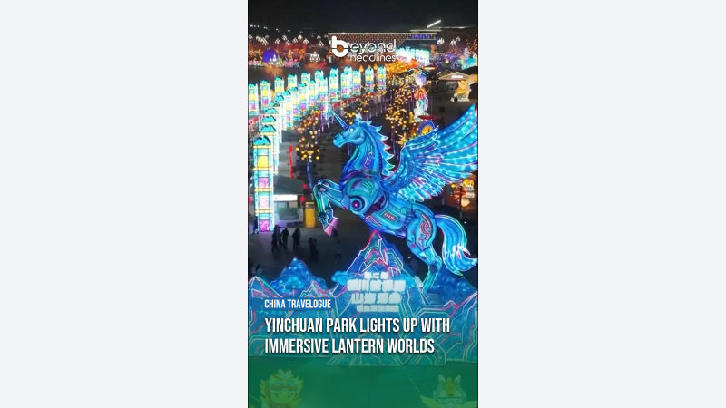 [China Travelogue] Yinchuan Park Lights Up with Immersive Lantern Worlds
