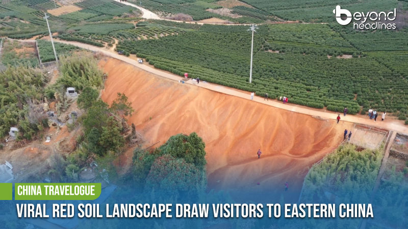 [China Travelogue] Viral Red Soil Landscape Draw Visitors to Eastern China