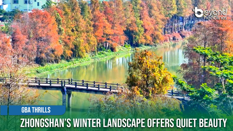 [GBA Thrills] Zhongshan’s Winter Landscape Offers Quiet Beauty