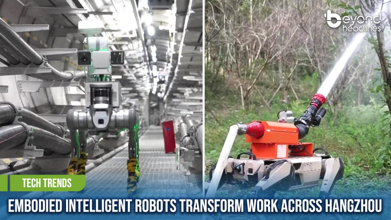 [Tech Trends] Embodied Intelligent Robots Transform Work Across Hangzhou
