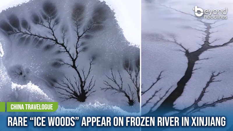 [China Travelogue] Rare “Ice Woods” Appear on Frozen River in Xinjiang