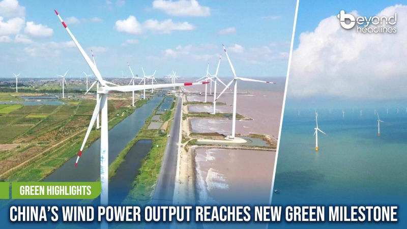 [Green Highlights] China’s Wind Power Output Reaches New Green Milestone