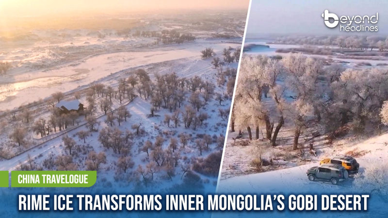 [China Travelogue] Rime Ice Transforms Inner Mongolia’s Gobi Desert