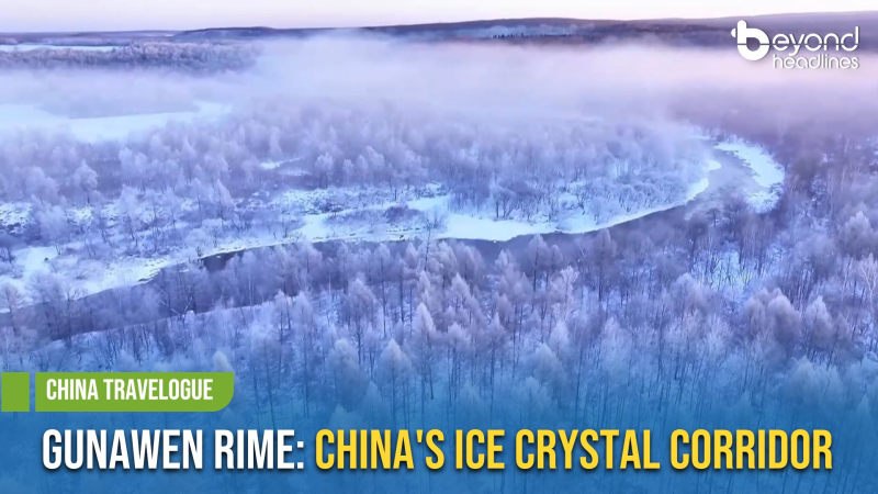 [China Travelogue] Gunawen Rime: China's Ice Crystal Corridor