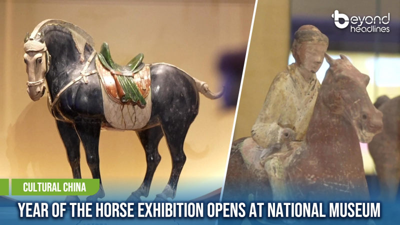 [Cultural China] Year of the Horse Exhibition Opens at National Museum