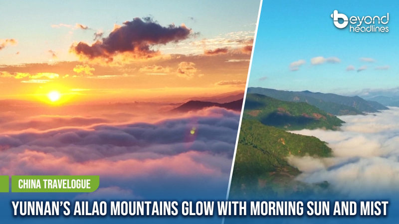 [China Travelogue] Yunnan’s Ailao Mountains Glow with Morning Sun and Mist