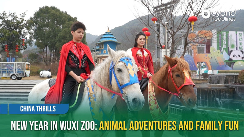 [China Thrills] New Year in Wuxi Zoo: Animal Adventures and Family Fun