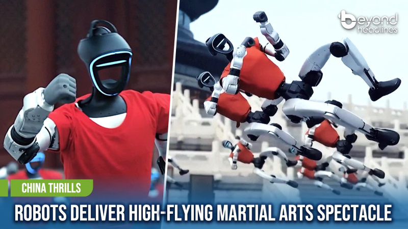 [China Thrills] Robots Deliver High-Flying Martial Arts Spectacle