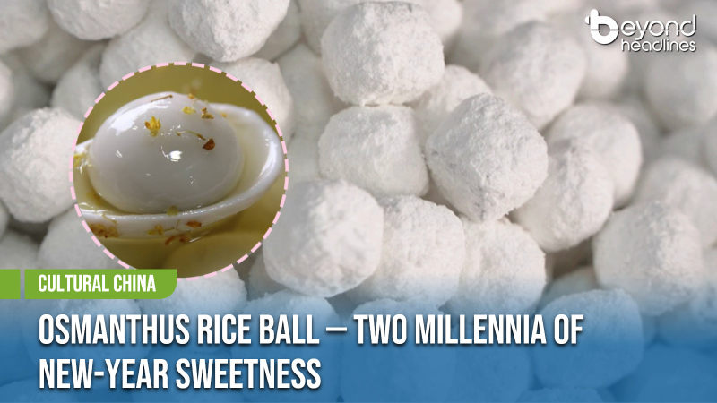 [Cultural China] Osmanthus Rice Ball — Two Millennia of New-Year Sweetness