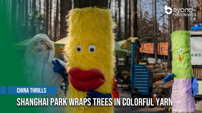 [China Thrills] Shanghai Park Wraps Trees in Colorful Yarn