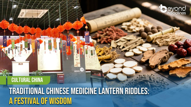 [Cultural China] Traditional Chinese Medicine Lantern Riddles: A Festival of Wisdom