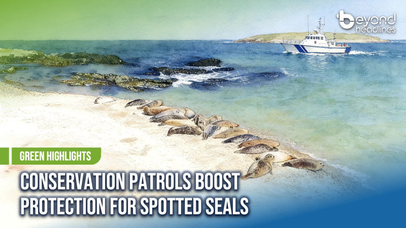 [Green Highlights] Conservation Patrols Boost Protection for Spotted Seals