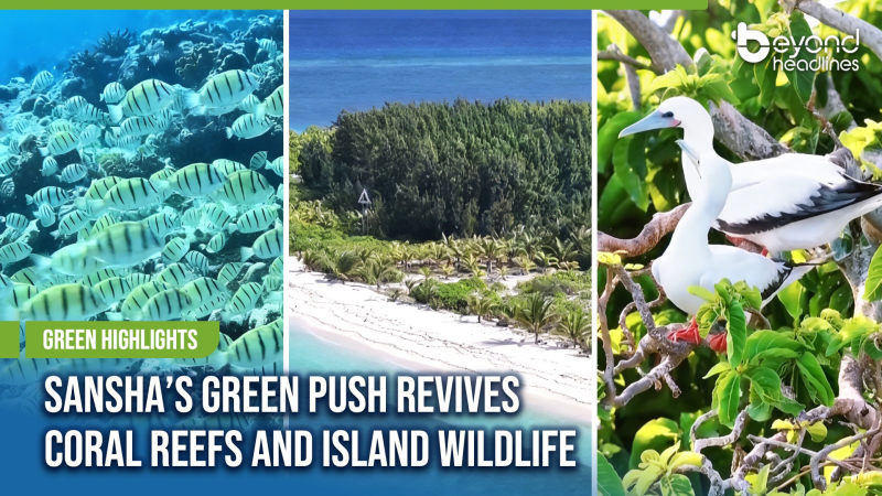 [Green Highlights] Sansha’s Green Push Revives Coral Reefs and Island Wildlife