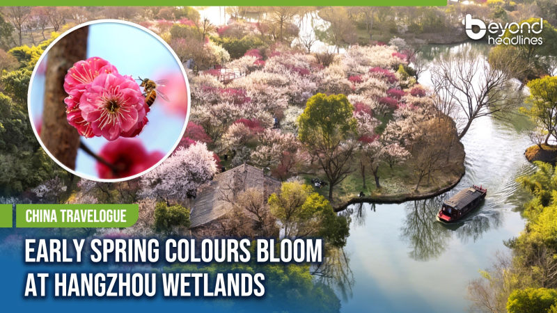 [China Travelogue] Early Spring Colours Bloom at Hangzhou Wetlands