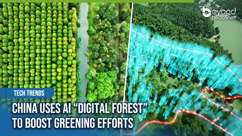 [Tech Trends] China Uses AI “Digital Forest” to Boost Greening Efforts