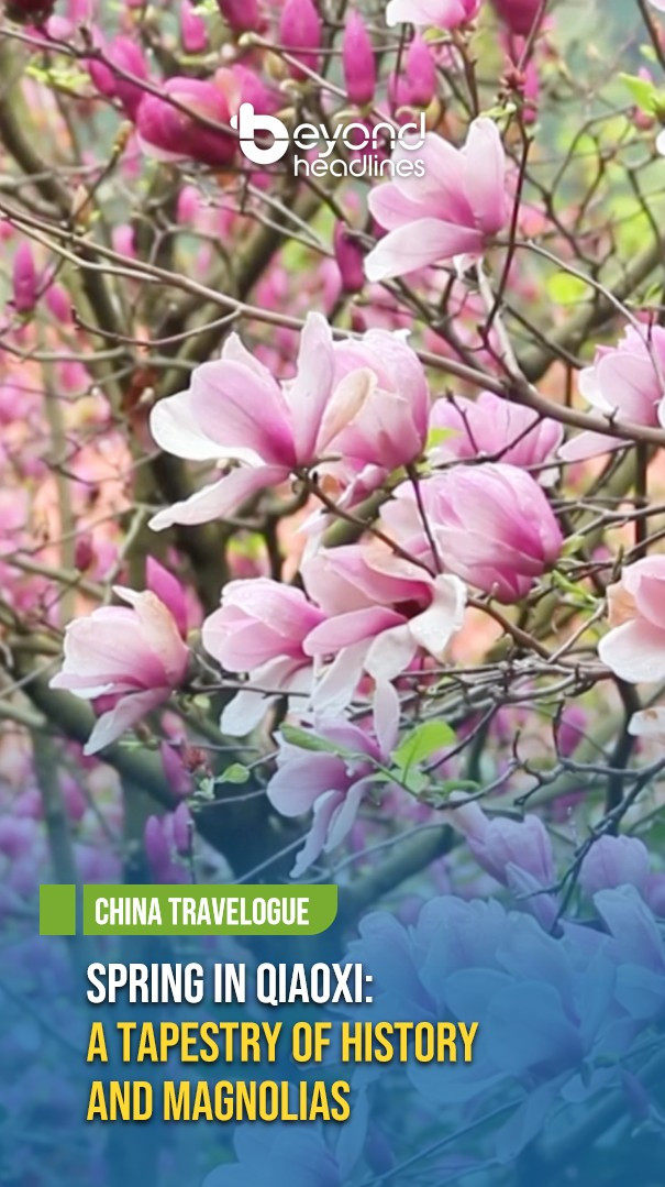 [China Travelogue] Spring in Qiaoxi: A Tapestry of History and Magnolias