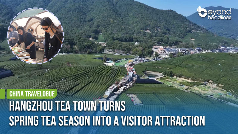 [China Travelogue] Hangzhou Tea Town Turns Spring Tea Season into a Visitor Attraction