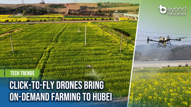 [Tech Trends] Click-to-Fly Drones Bring On-Demand Farming to Hubei