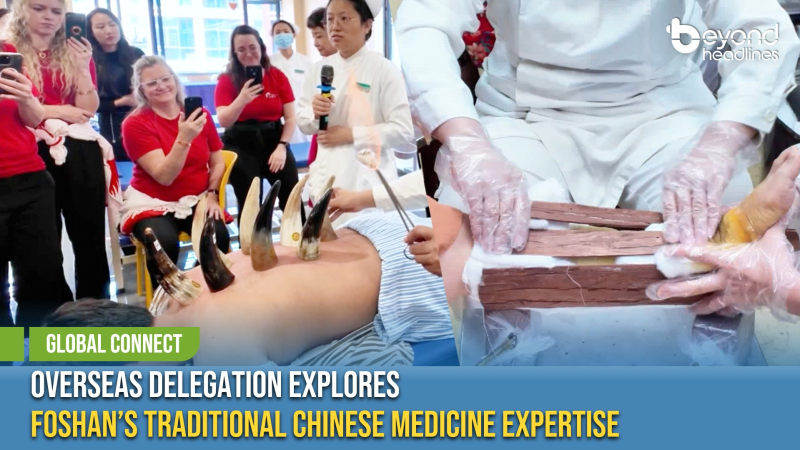 [Global Connect] Overseas Delegation Explores Foshan’s Traditional Chinese Medicine Expertise