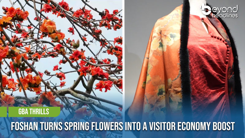 [GBA Thrills] Foshan Turns Spring Flowers into a Visitor Economy Boost
