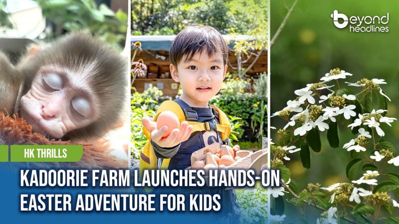 [HK Thrills] Kadoorie Farm Launches Hands-On Easter Adventure for Kids