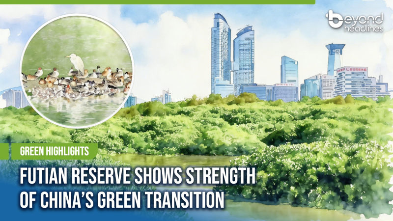 [Green Highlights] Futian Reserve Shows Strength of China’s Green Transition