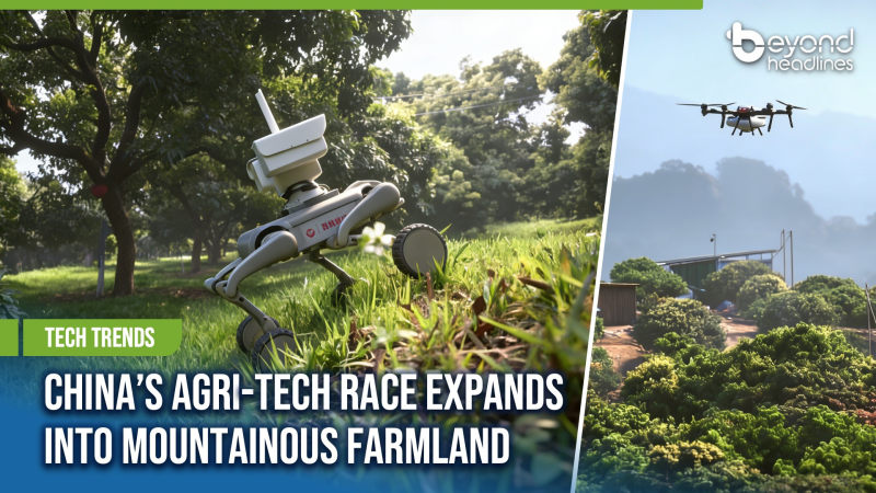[Tech Trends] China’s Agri-Tech Race Expands Into Mountainous Farmland