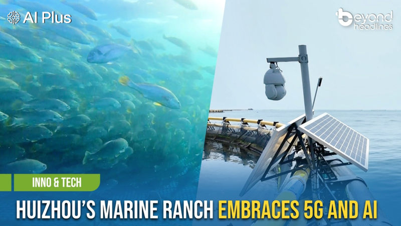 [Inno & Tech] Huizhou’s Marine Ranch Embraces 5G and AI