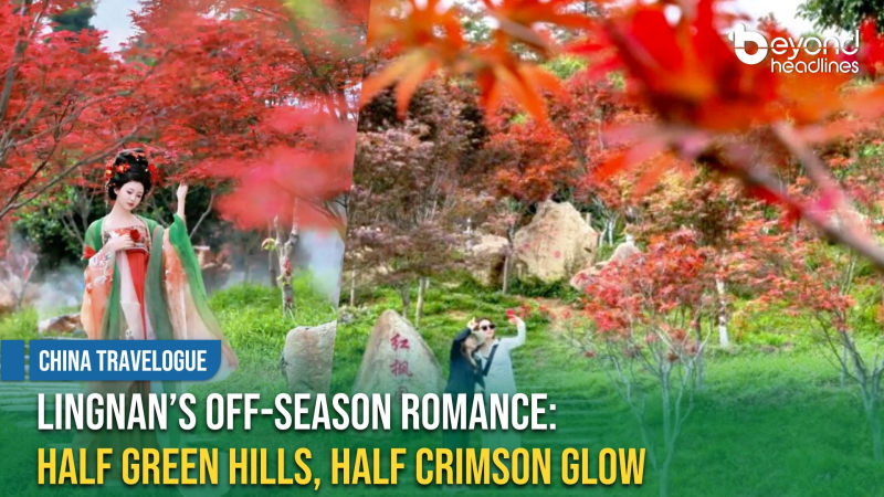 [China Travelogue] Lingnan’s Off-Season Romance: Half Green Hills, Half Crimson Glow