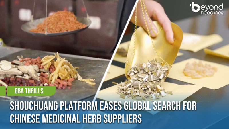 [GBA Thrills] Shouchuang Platform Eases Global Search for Chinese Medicinal Herb Suppliers